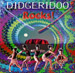Didgeridoo Rocks!