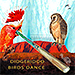 Didgeridoo Birds Dance